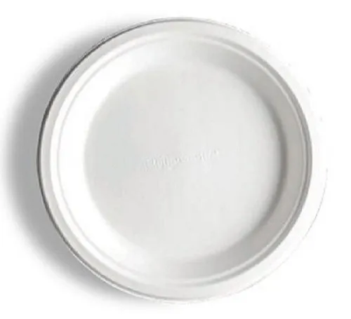 10" Round Plate