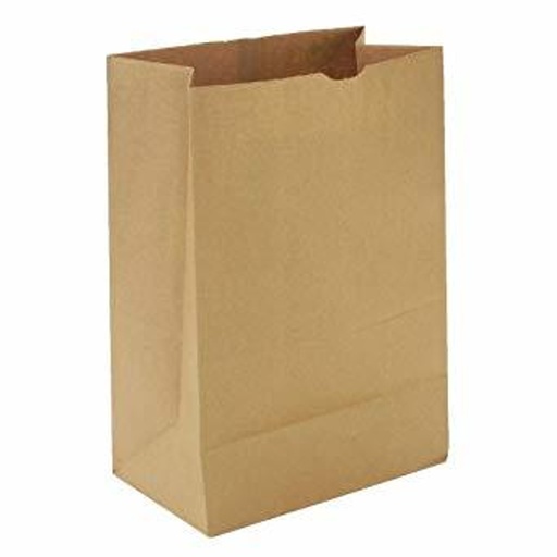 10lb Paper Bag